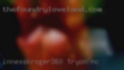 Innesskroger360 Tryon NC